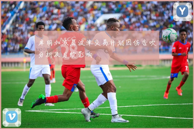 库明加浓眉波津交易计划因伤告吹分析及后续影响