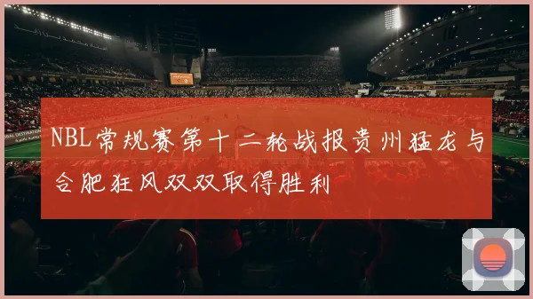 NBL常规赛第十二轮战报贵州猛龙与合肥狂风双双取得胜利